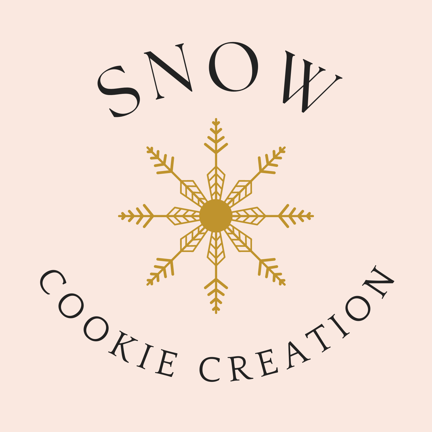 Snow Cookie Creation